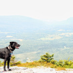 Abraham & Ellen (VT Hikes)