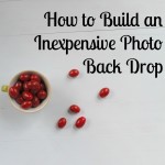 Photo Back Drop DIY