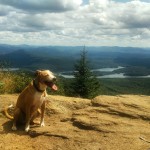 Snowy Mountain Hike