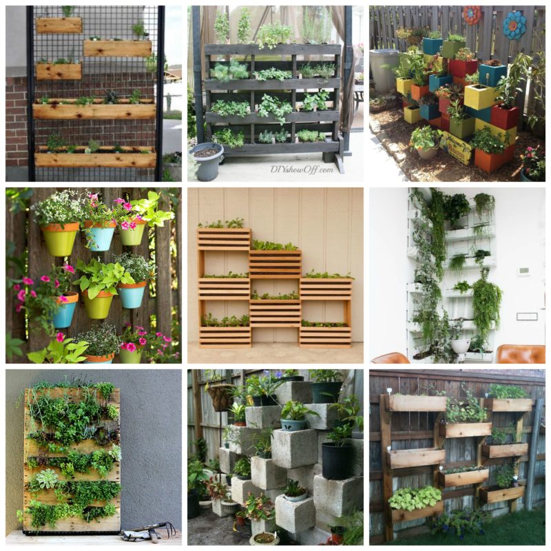 Vertical Garden Plan