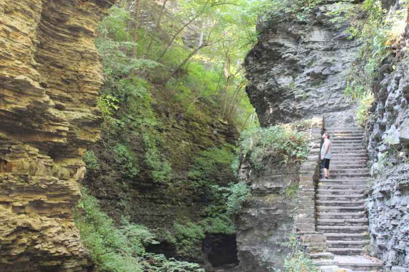 Watkins Glen State Park