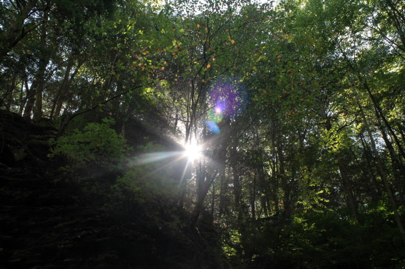 Watkins Glen State Park