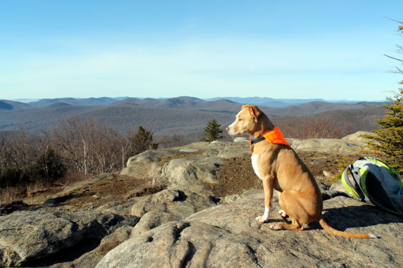 Hadley Mountain Hike