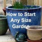 How to Start Any Size Garden