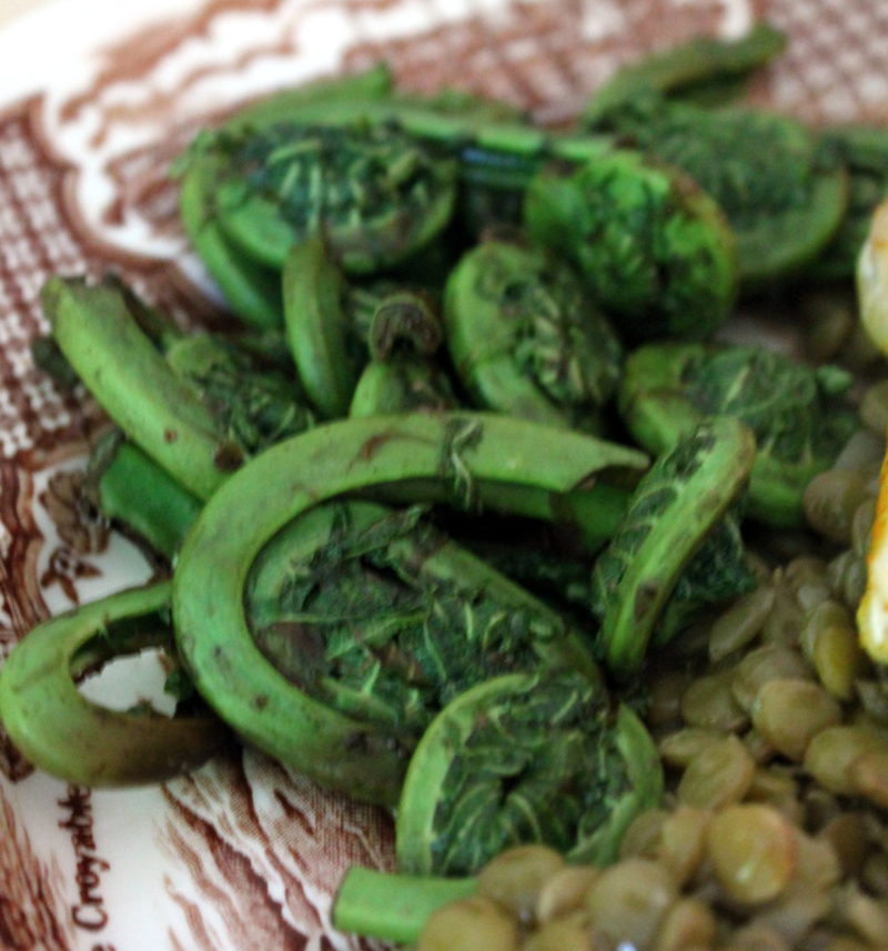 Fiddleheads