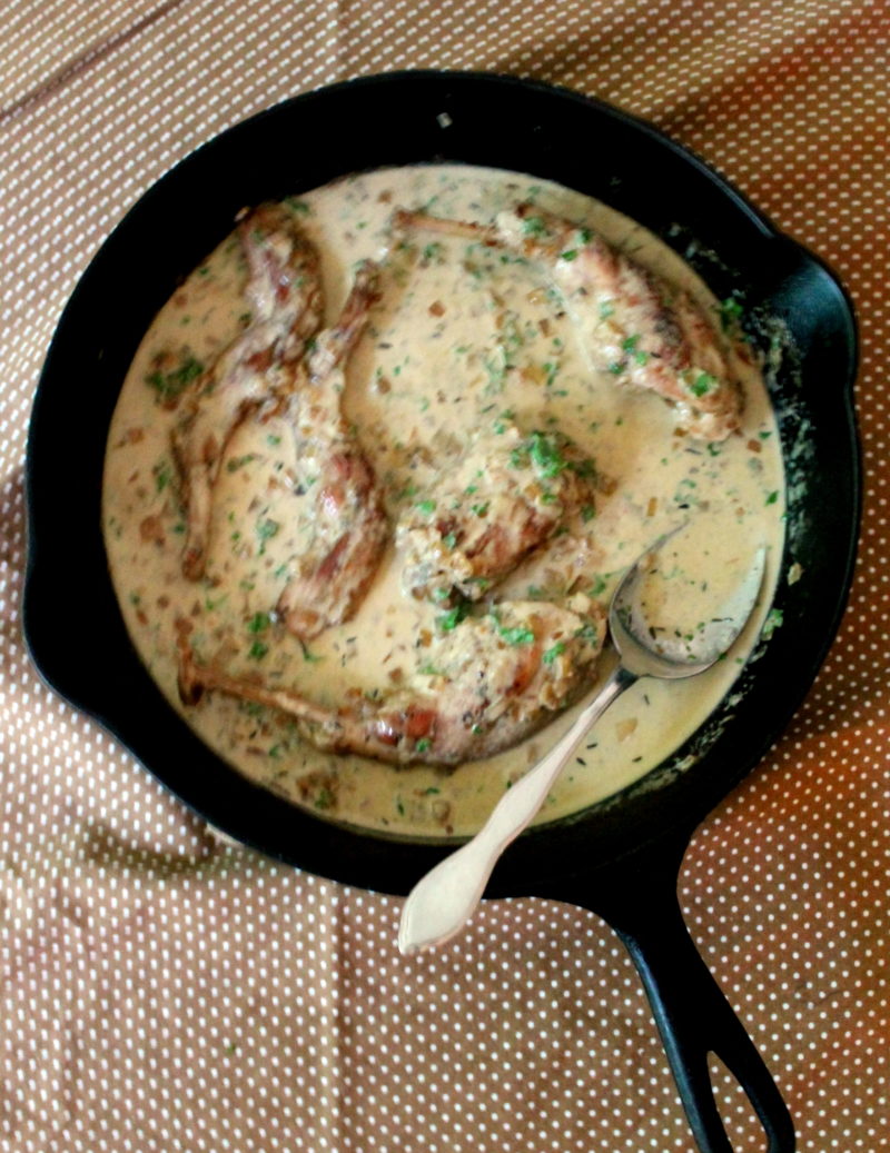 Rabbit with Mustard Sauce