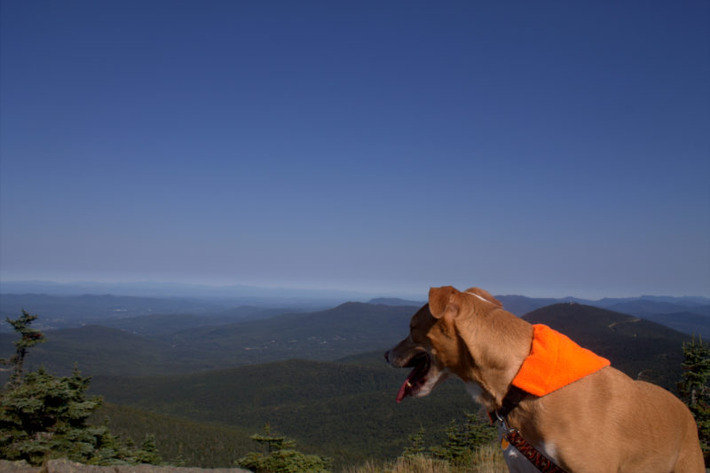 Brody Hiking Mount Killington