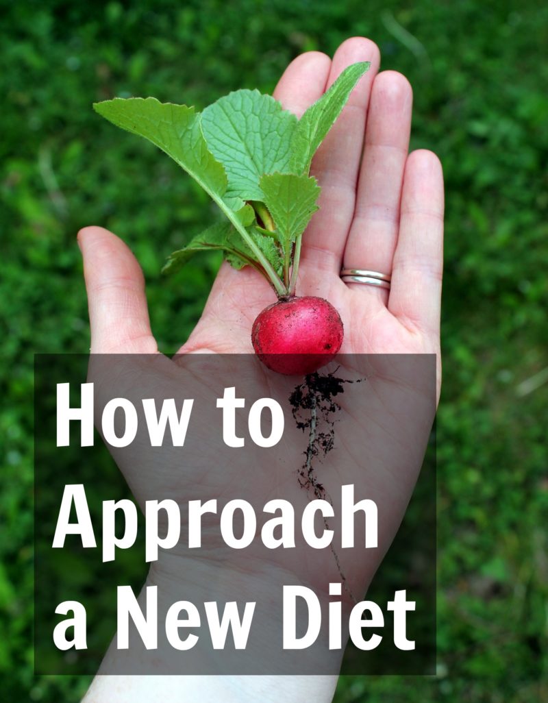 How to Approach a New Diet