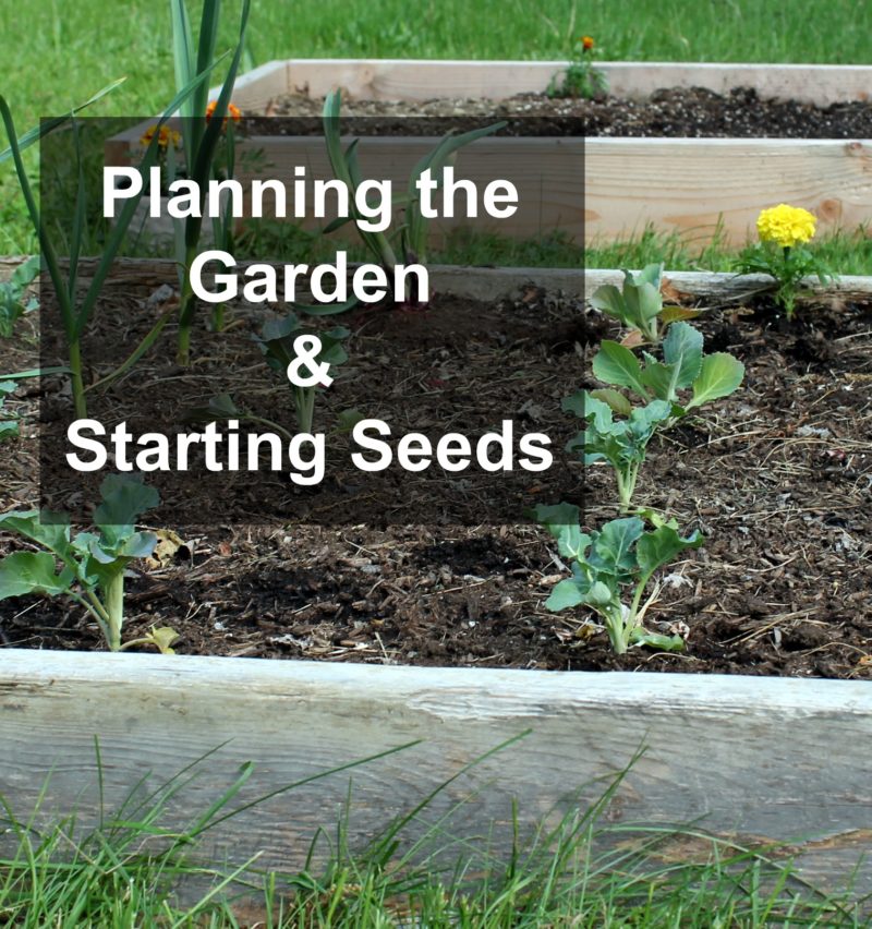 Planning the Garden & Starting Seeds