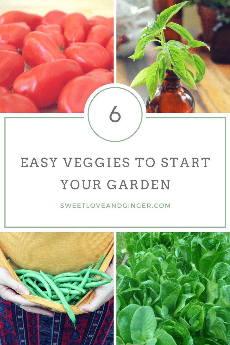 6 Easy Veggies to Start your Garden