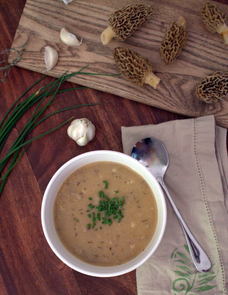 Creamy Morel Soup