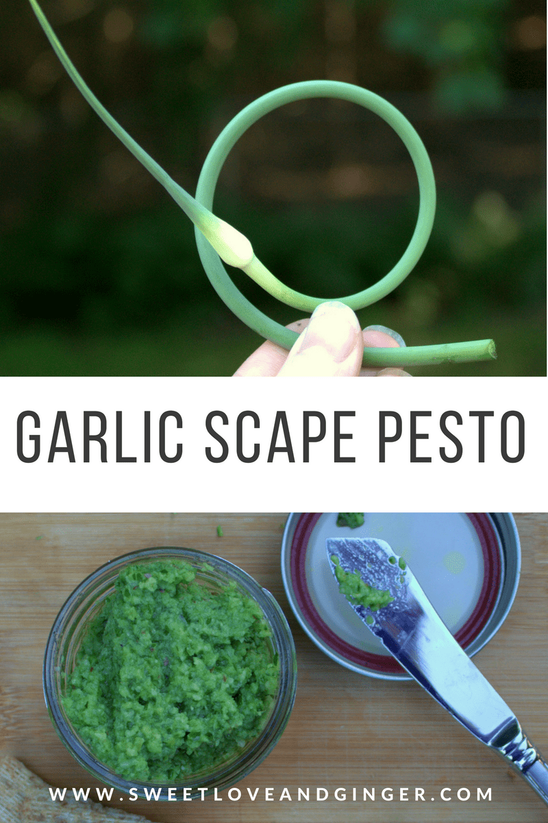 Garlic Scape Pesto