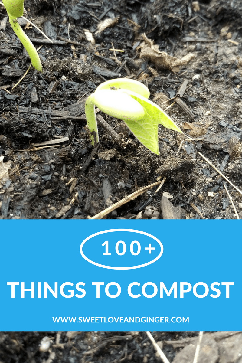 100+ Things to Compost