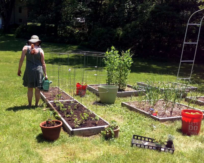 My 2018 Garden Plan - Sweet Love and Ginger