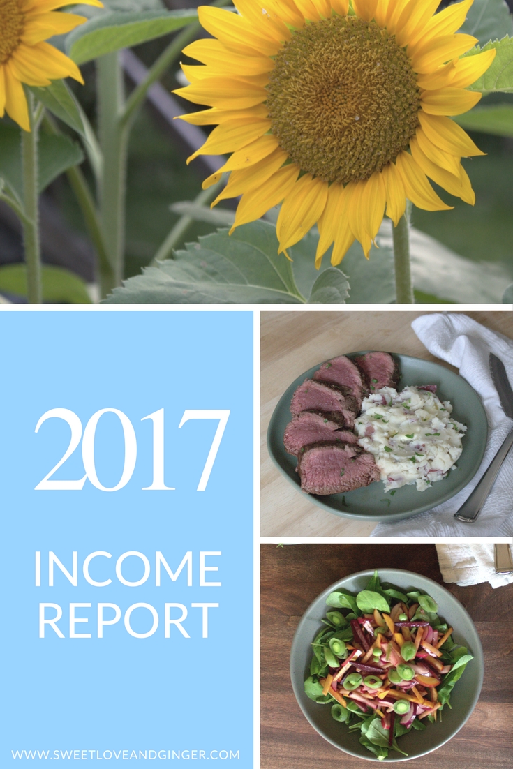 Annual Income Report 2017