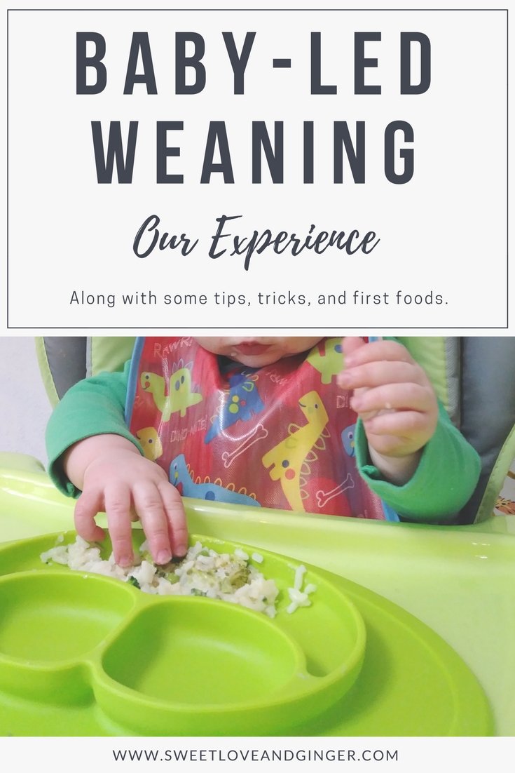 Baby-Led Weaning: Our Experience