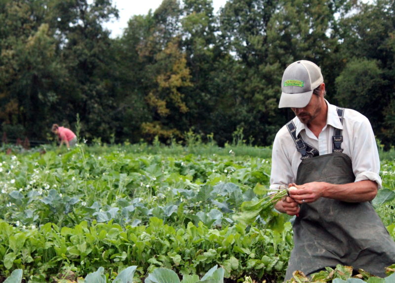 Featherbed Lane Farm Tim & Tory