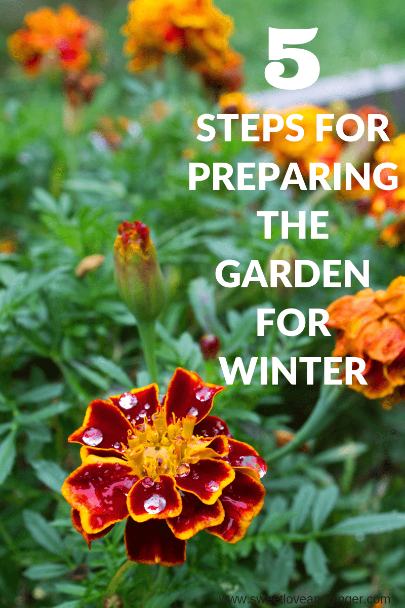 6 Steps for Preparing the Garden for Winter