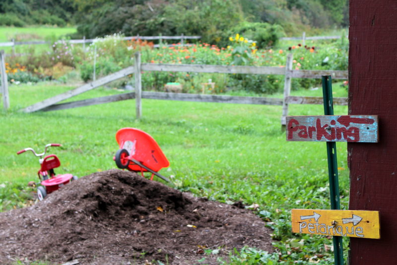 Goode Farm: It’s Not a Typical CSA