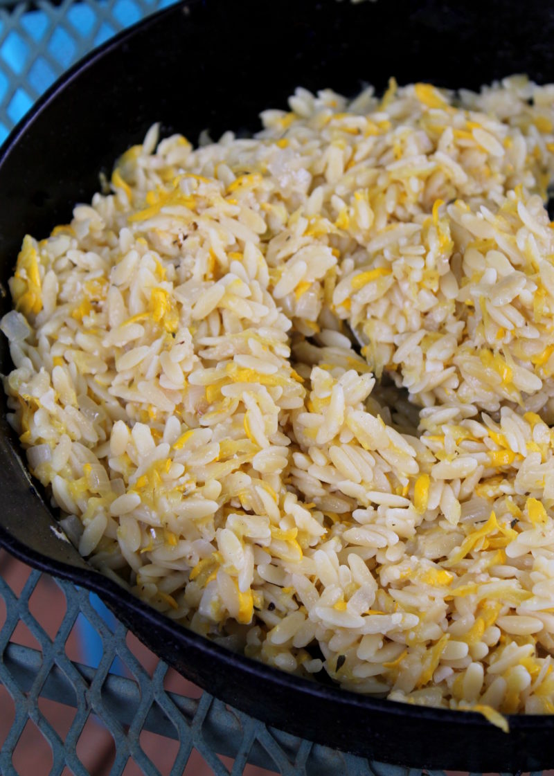 Disappearing Squash Orzo Recipe